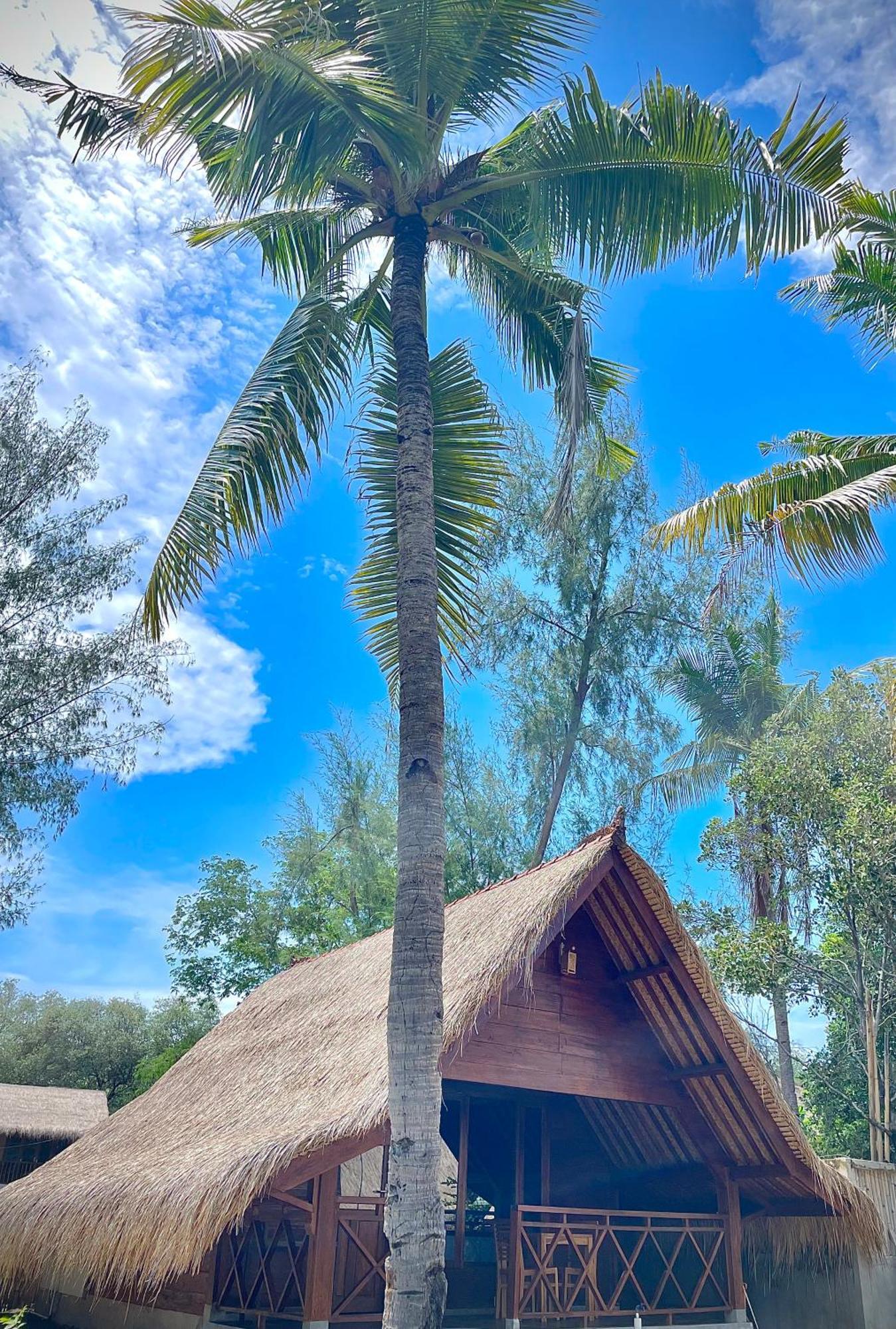 Saja Cottage, Gili Meno Exterior photo
